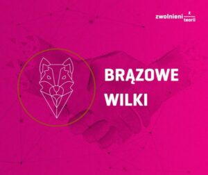 Read more about the article Brązowe wilki- nagroda dla najlepszego projektu w instytucji