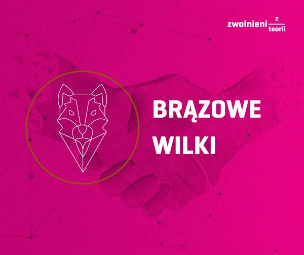 You are currently viewing Brązowe wilki- nagroda dla najlepszego projektu w instytucji