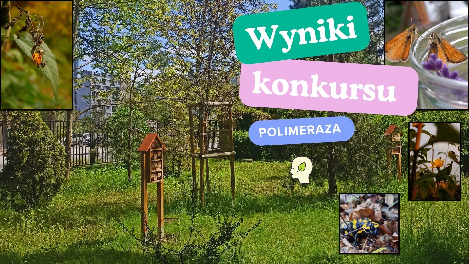 Read more about the article Wyniki etapu wojewódzkiego konkursu biologicznego Polimeraza 2023/2024