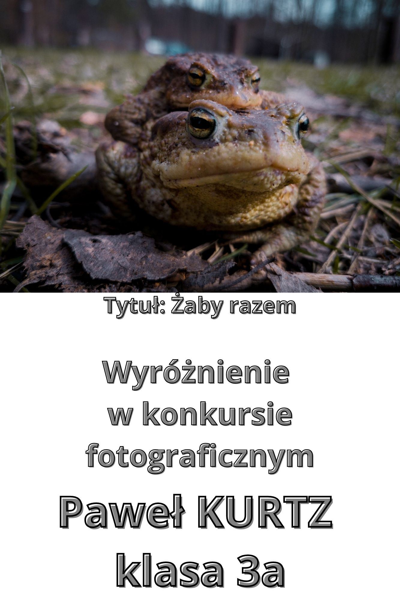 Read more about the article Wyróżnienie w Dzielnicowym Konkursie Fotograficznym „Wiosenna eksplozja barw i słońca”
